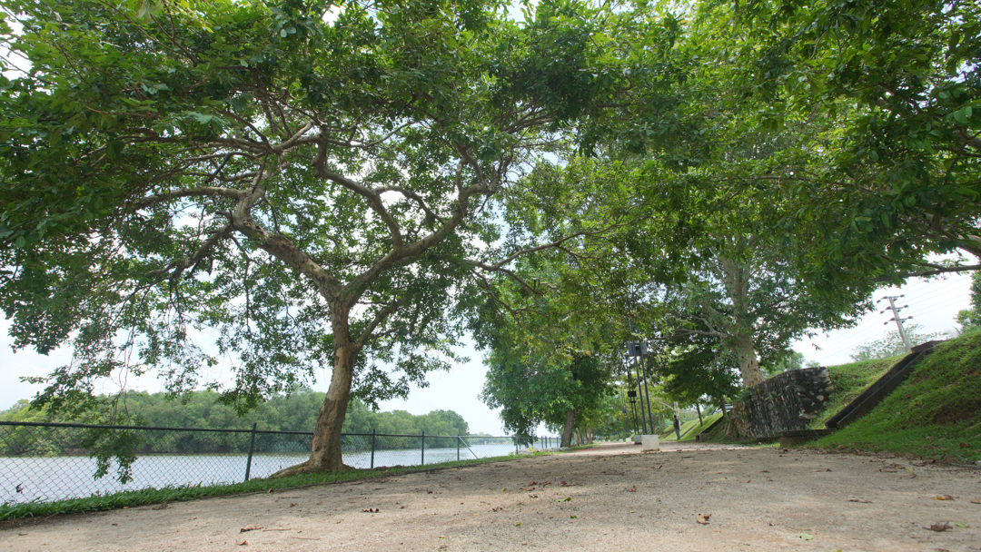 Kotte Photography