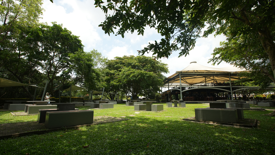 Bird Sanctuary